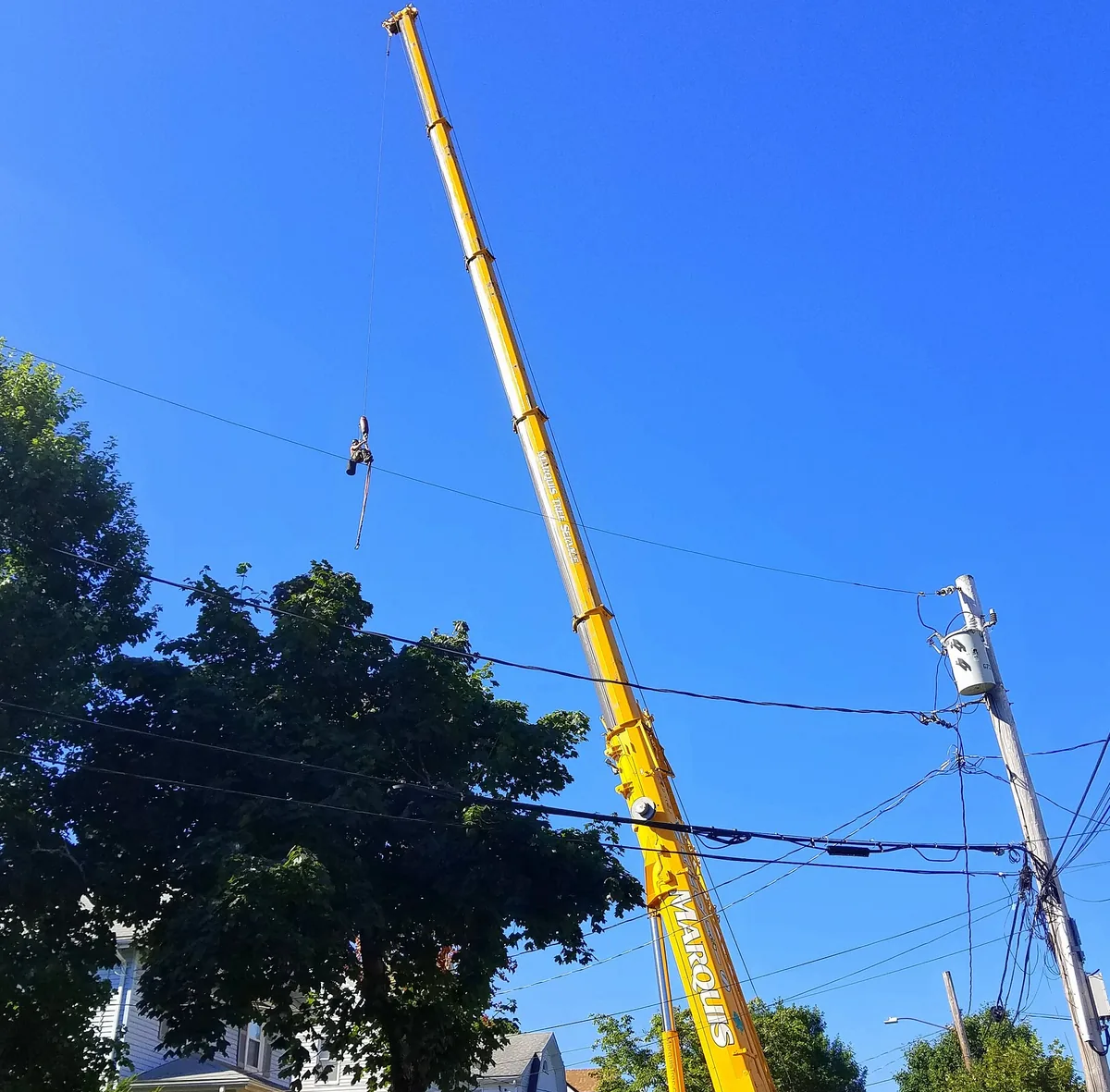 Climber taking a hardwood down in sections from a rope and harness